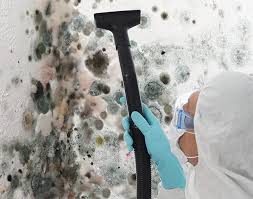 Odessa, MO Mold Removal & Remediation Company